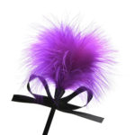 Tease Me Feather Tickler and Paddle feather bring fun back
